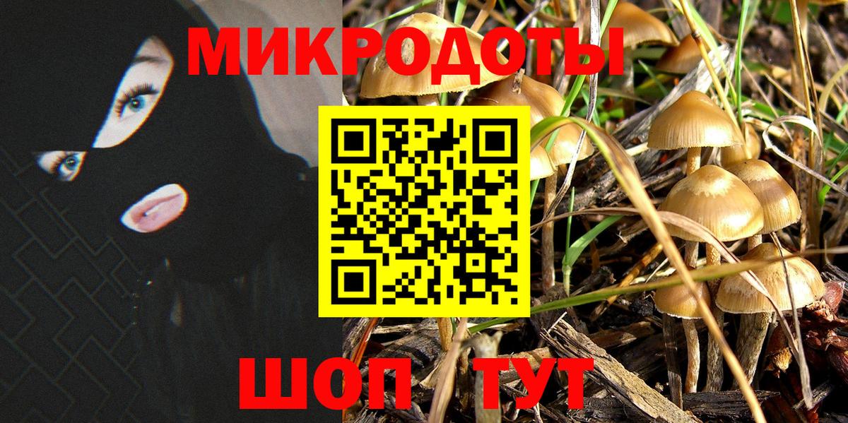купить наркотики сайты  Псилоцибиновые грибы мухоморы  Вход с VPN  Приморско-Ахтарск 