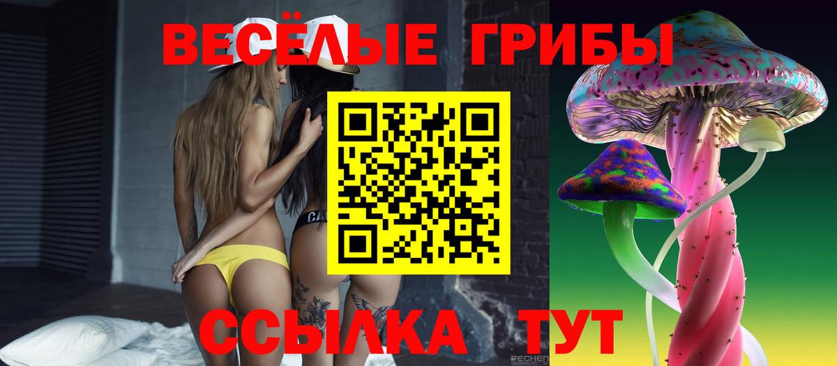 Галлюциногенные грибы мухоморы Приморско-Ахтарск